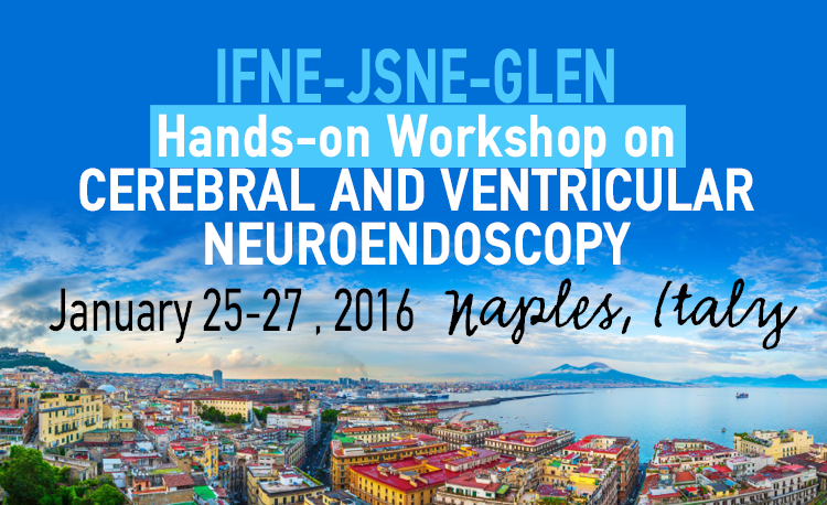 IFNE-JSNE-GLEN Hands-on workshop on cerebral and ventricular neuroendoscopy