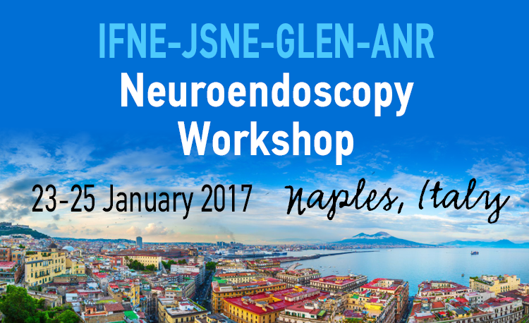 11  IFNE-JSNE-GLEN-ANR neuroendoscopy workshop