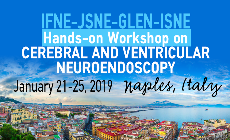 IFNE-JSNE-GLEN-ISNE Hands-on Workshop on Cerebral and Ventricular Neuroendoscopy