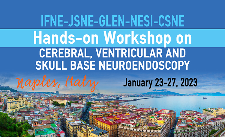 IFNE-JSNE-GLEN-NESI-CSNE Hands-on Workshop on  Cerebral, Ventricular and  skull base Neuroendoscopy