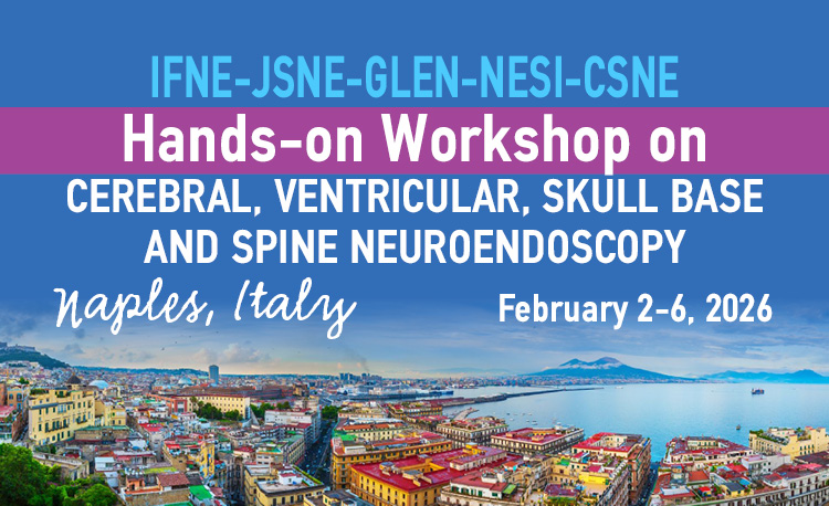 IFNE-JSNE-GLEN-NESI-CSNE Hands-on Workshop on Cerebral, Ventricular and Skull Base Neuroendoscopy