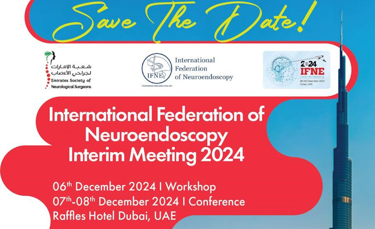 IFNE Interim Meeting 2024